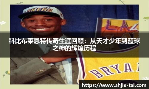 jn体育官方
