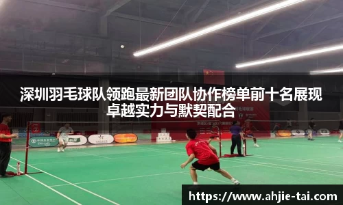 深圳羽毛球队领跑最新团队协作榜单前十名展现卓越实力与默契配合